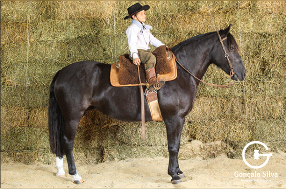 HABILIDOSA DO TABOÃO 