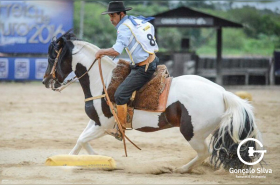 DIREITO DE USO DE ALGO TENGO DO PURUNA