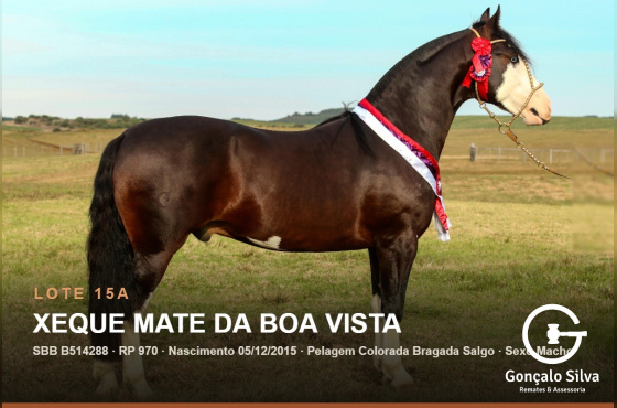 XEQUE MATE DA BOA VISTA - (Venda vertical direito de uso)