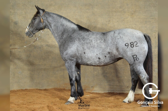 PO OKLAHOMA