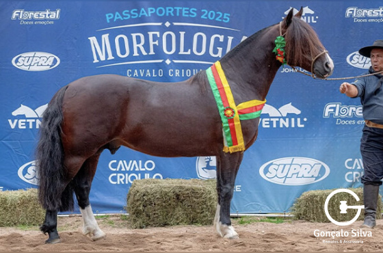 Santo Pago Charrua