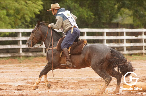 LAB JORNALERO - VENDA VERTICAL
