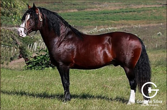 ALTO ASTRAL DE SANTA EDWIGES