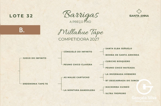 MILLAHUE TAPE