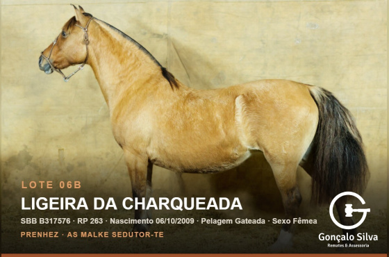 LIGEIRA DA CHARQUEADA - (Venda vertical)