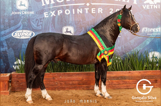 MARTIN FIERRO DO ITAO 