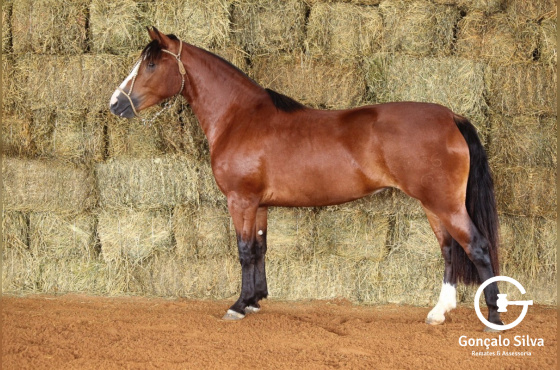 RE UMA MAGISTRADA-TE