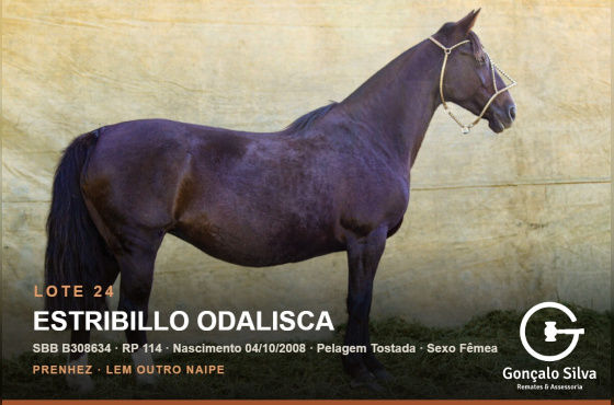 ESTRIBILLO ODALISCA