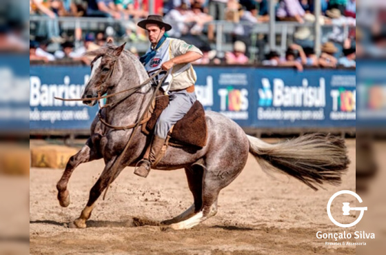  QUINCHERO  DE SANTA  ANGÉLICA