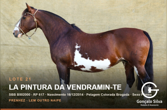 LA PINTURA DA VENDRAMIN-TE
