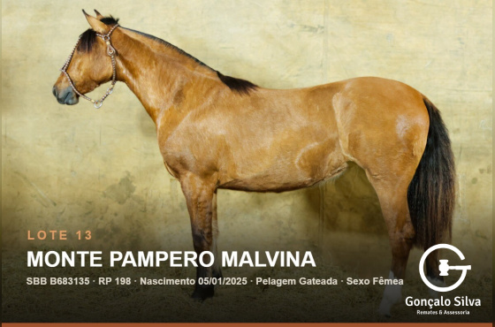 MONTE PAMPERO MALVINA