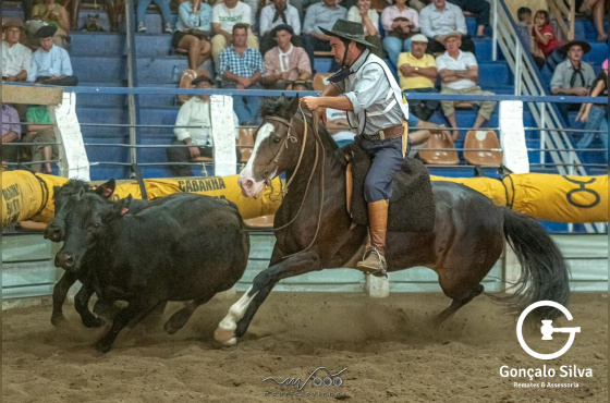 EGUA DOMADA - FINALISTA FREIO DO PROPRIETARIO