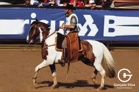 DIREITO DE USO 3 COBERTURAS EXPRESSO DO ELEBÊ