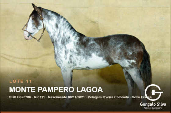 MONTE PAMPERO LAGOA