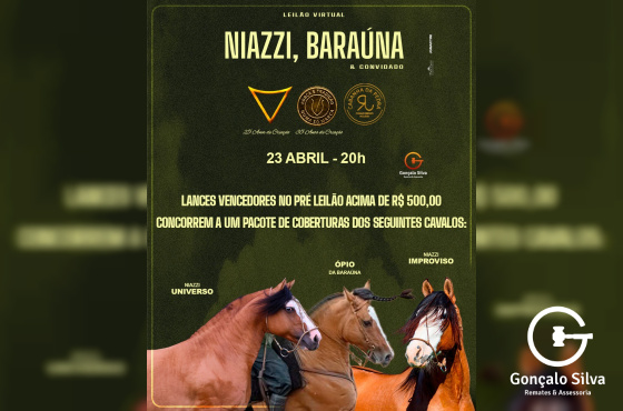 PROMOÇÃO PRÉ LEILÃO 