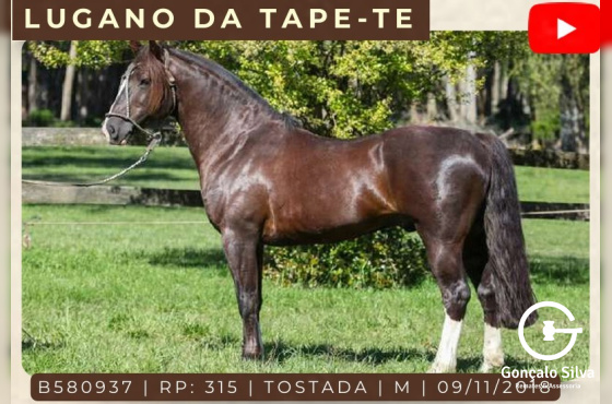 LUGANO TAPE-TE - COBERTURAS