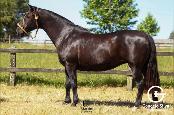 LAS CALLANAS LIJERAZA