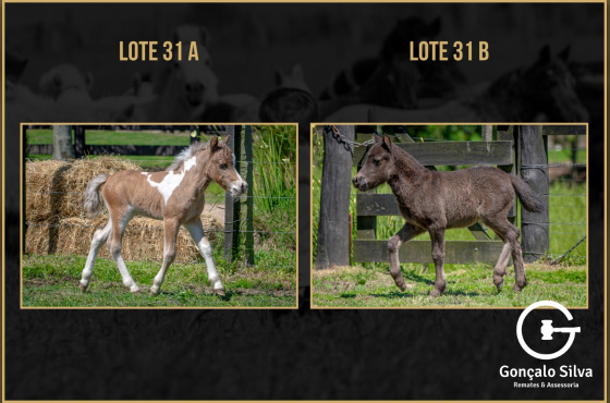 BABY ZANE - BABY GUGA