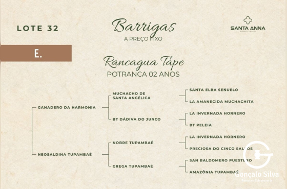RANCAGUA TAPE