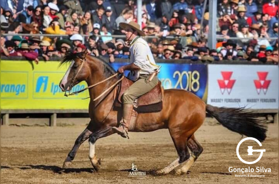 FICHEIRO DO CAPÃO REDONDO 