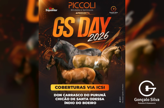 CHICÃO DE SANTA ODESSA, DOM CARRASCO DO PURUNÃ e ÍNDIO DO BOEIRO - Coberturas Via ICSI