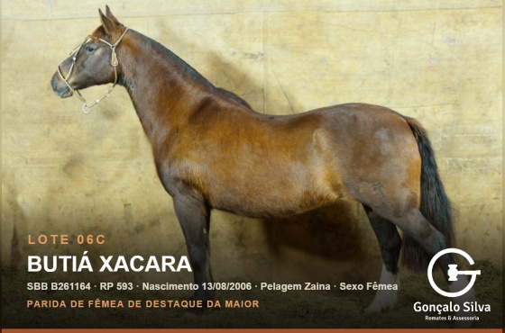 BUTÁ XACARA - (Venda vertical)