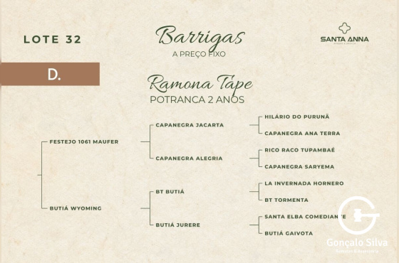 RAMONA TAPE