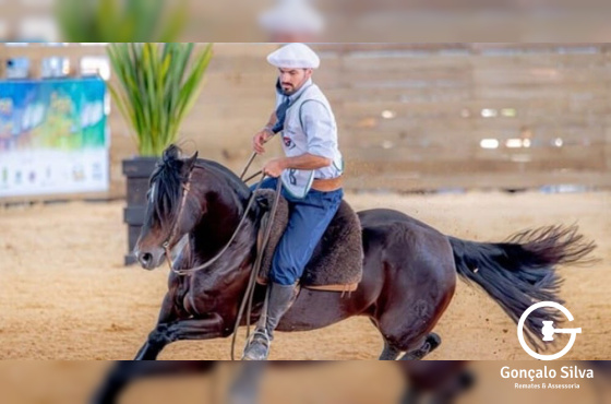  MIS AMORES  DA TAIMÃ
