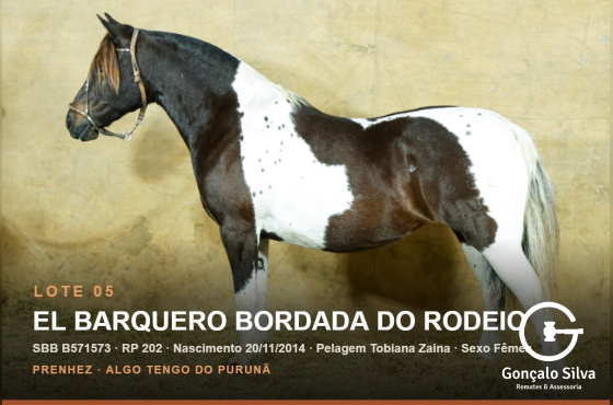 EL BARQUERO BORDADA DO RODEIO 