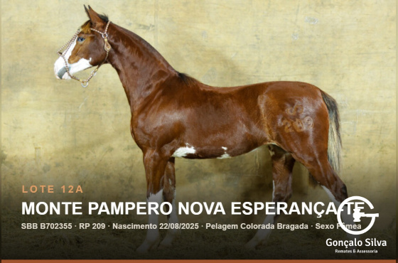 MONTE PAMPERO NOVA ESPERANÇA-TE - (Venda de 50%  vertical)