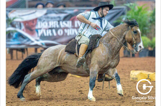  LEOPARDO DA  GAP SÃO  PEDRO-TE