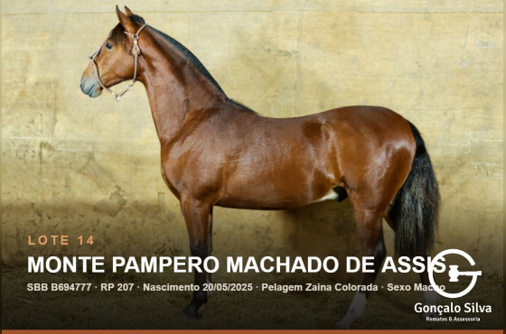 MONTE PAMPERO MACHADO DE ASSIS