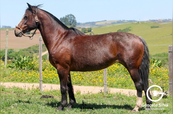 ESCALA DA LAGOA DO SOL