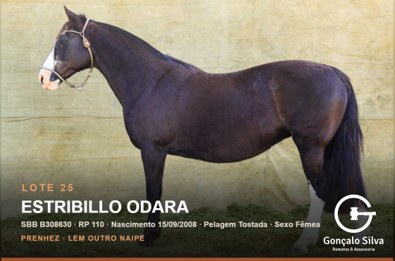 ESTRIBILLO ODARA