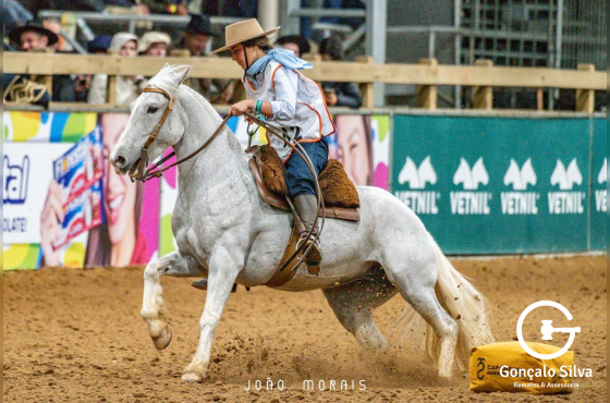 LA MONTURA ESTUPENDA 