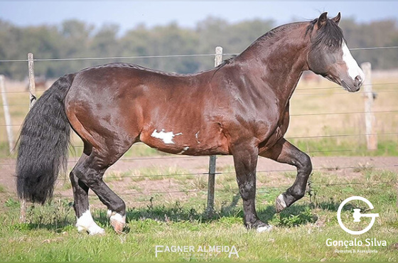 COTA 5% RICO DA LAGOA SECA