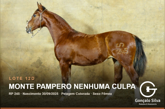 MONTE PAMPERO NENHUMA CULPA - (Venda vertical)